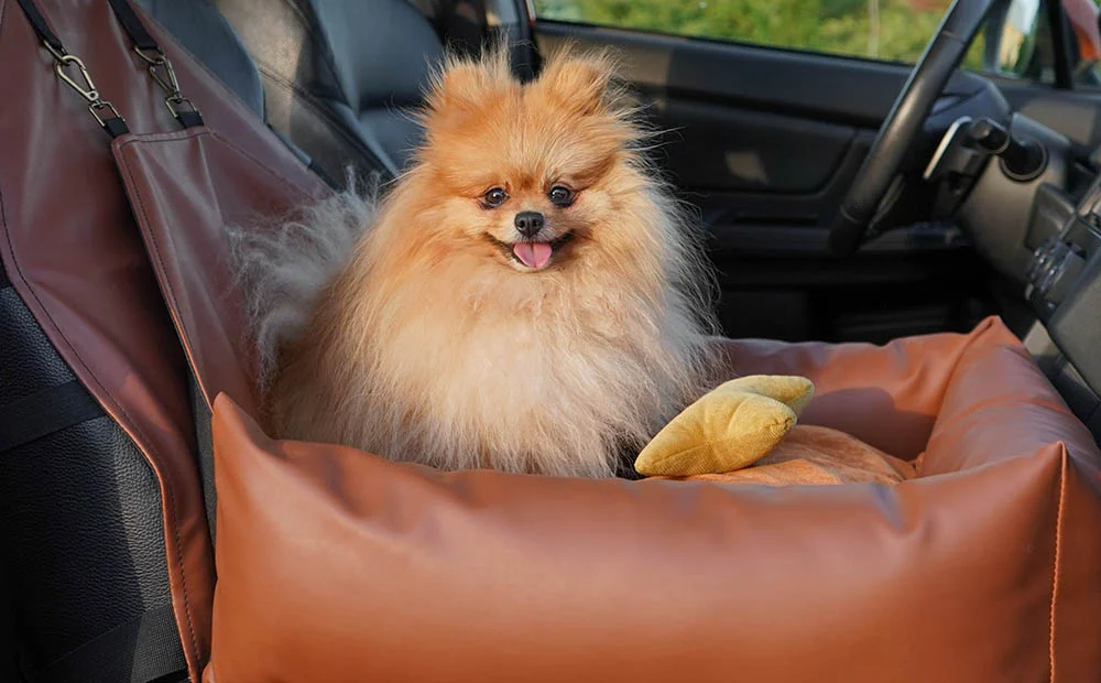 Japanese Chin Dog Car Seat for Dodge Challenger