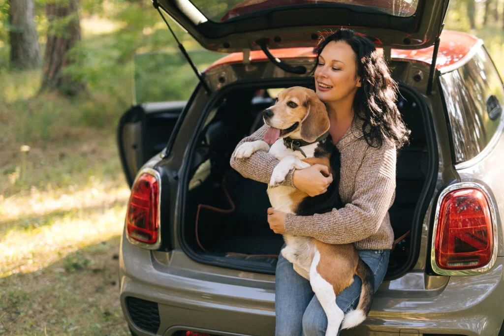 dog back seat cover for Nissan Sentra