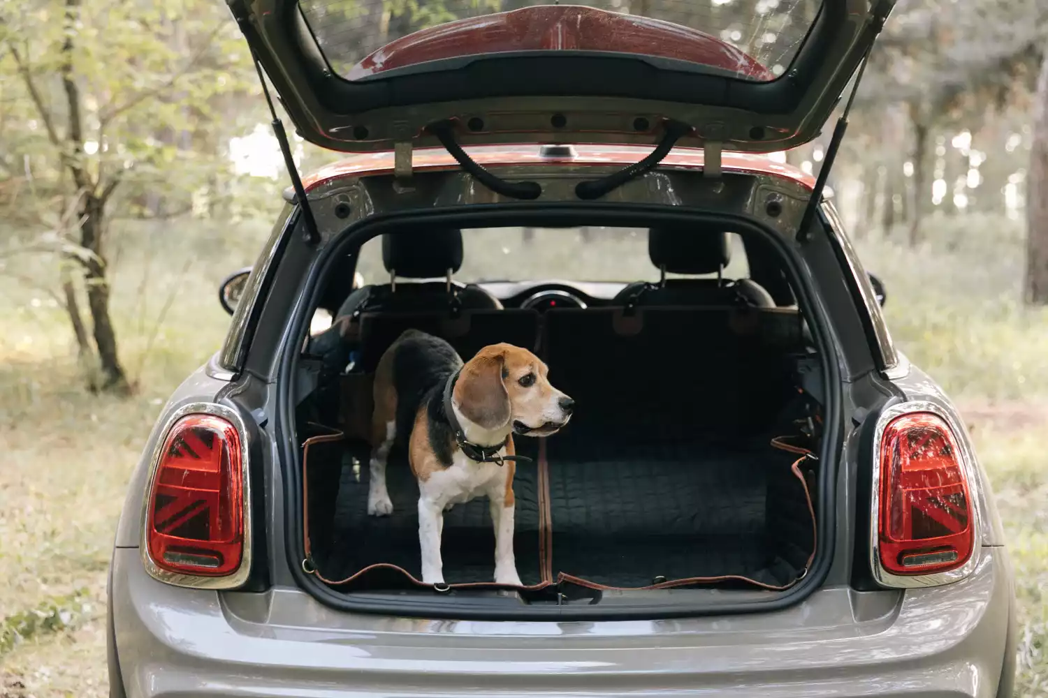 pet seat cover for Chevrolet Impala