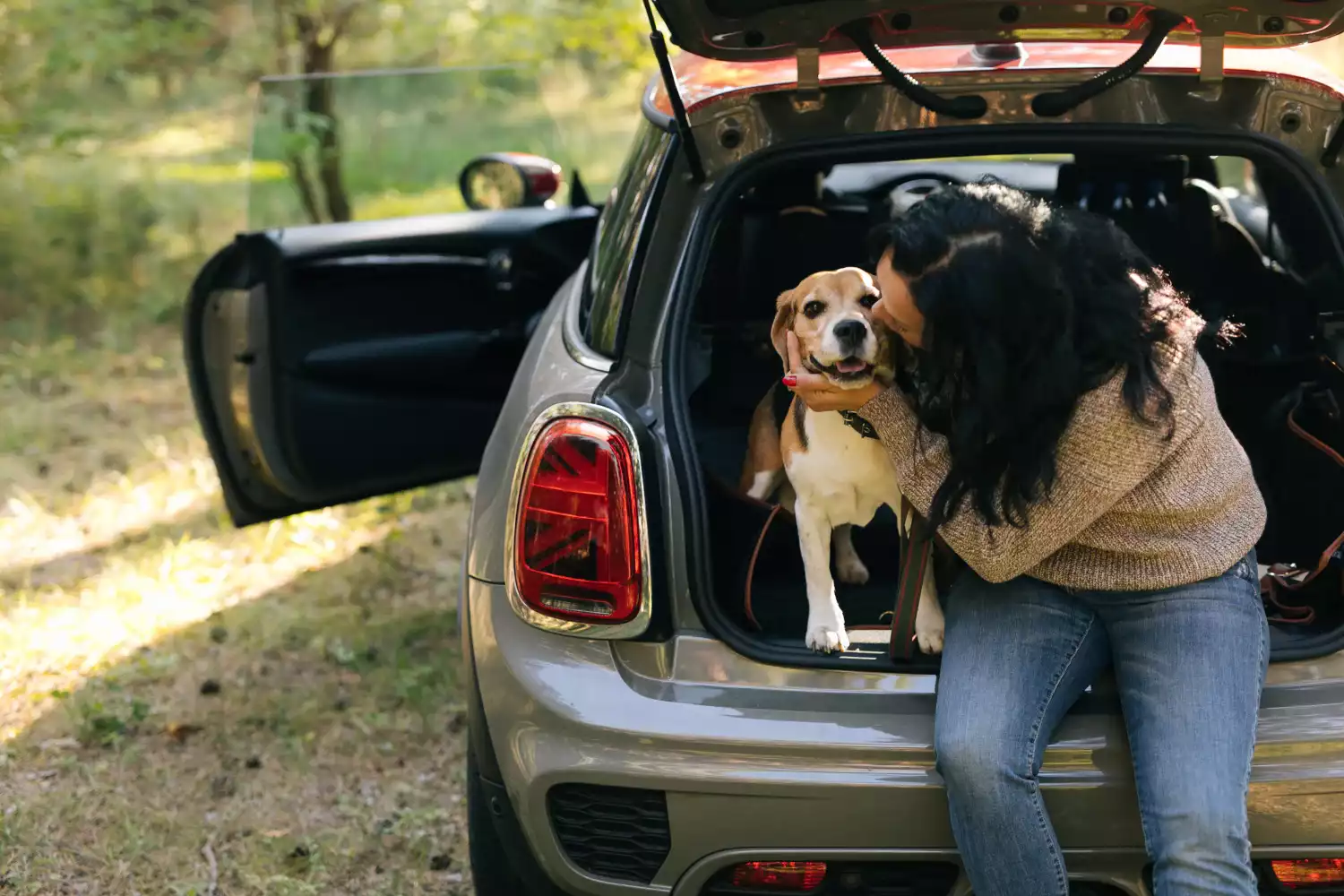 dog back seat cover for Nissan Sentra