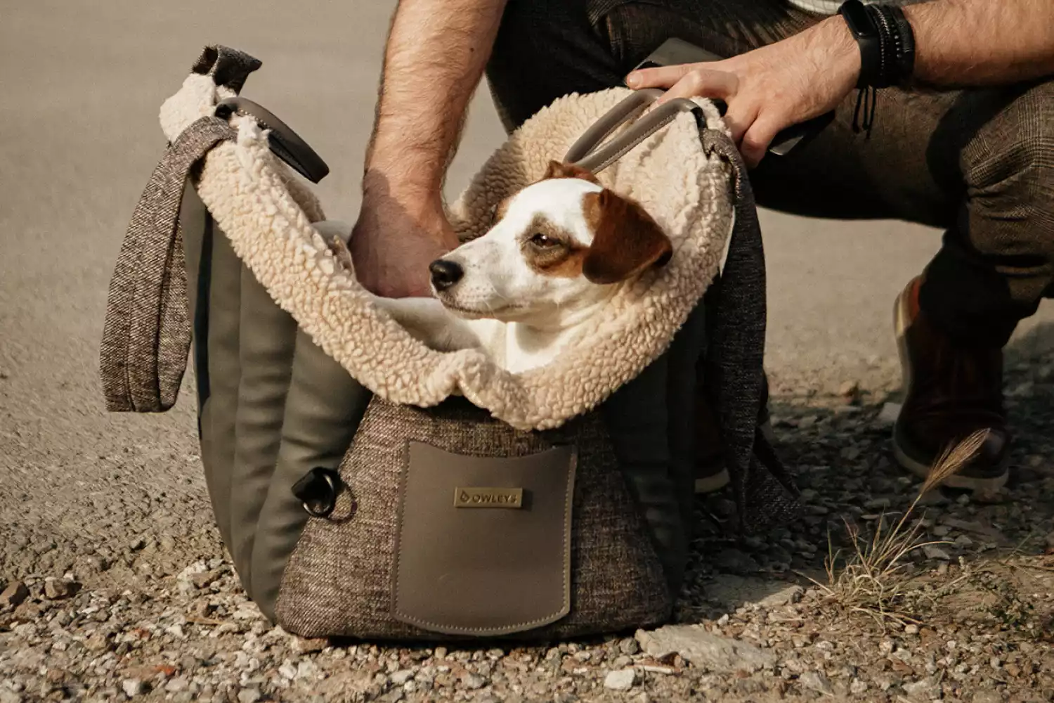 Jeep Compass Dog Carrier Car Seat for Mi-Ki