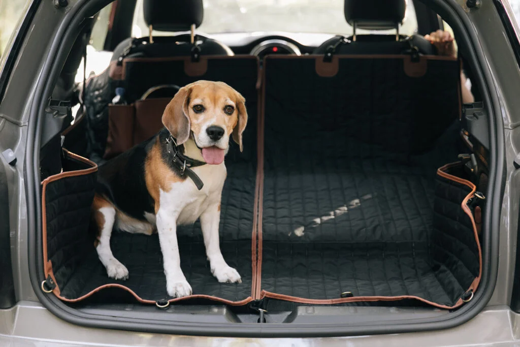 pet seat cover for Chevrolet Impala