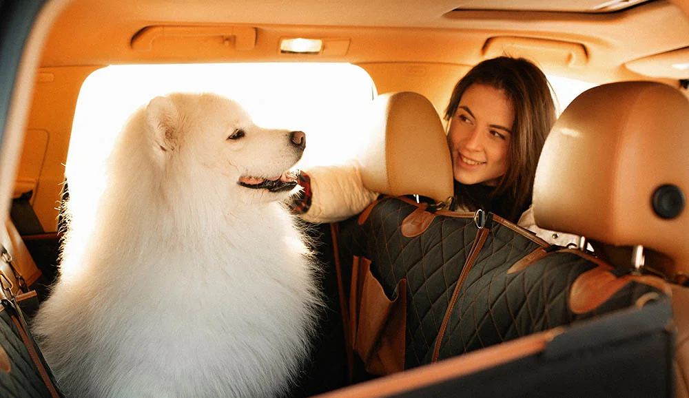 Bullmastiffs back seat cover for Toyota Tundra