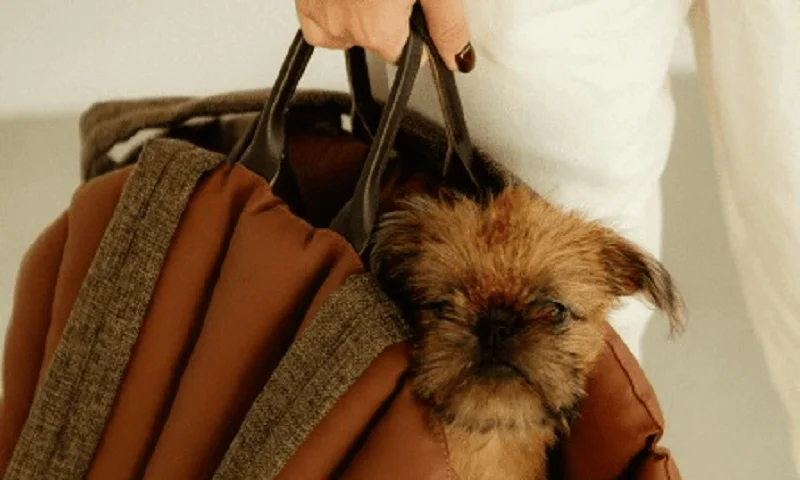 Dog Carrier Purse for Tibetan Spaniel