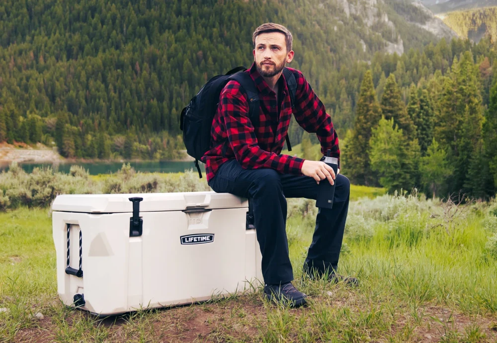 ice cooler box for car